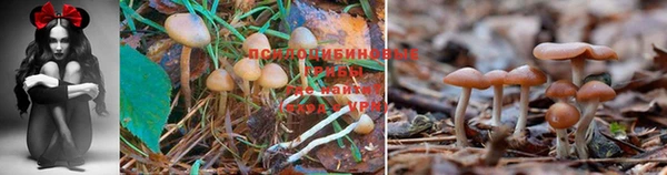 mix Володарск