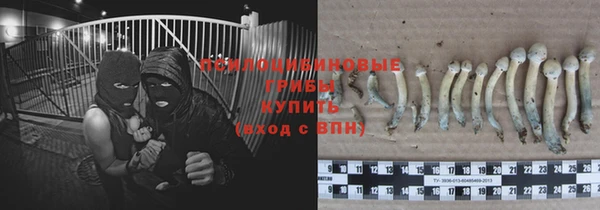 марки lsd Верея